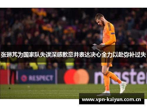张琳芃为国家队失误深感歉意并表达决心全力以赴弥补过失 张琳芃为国家队失误深感歉意并表达决心全力以赴弥补过失